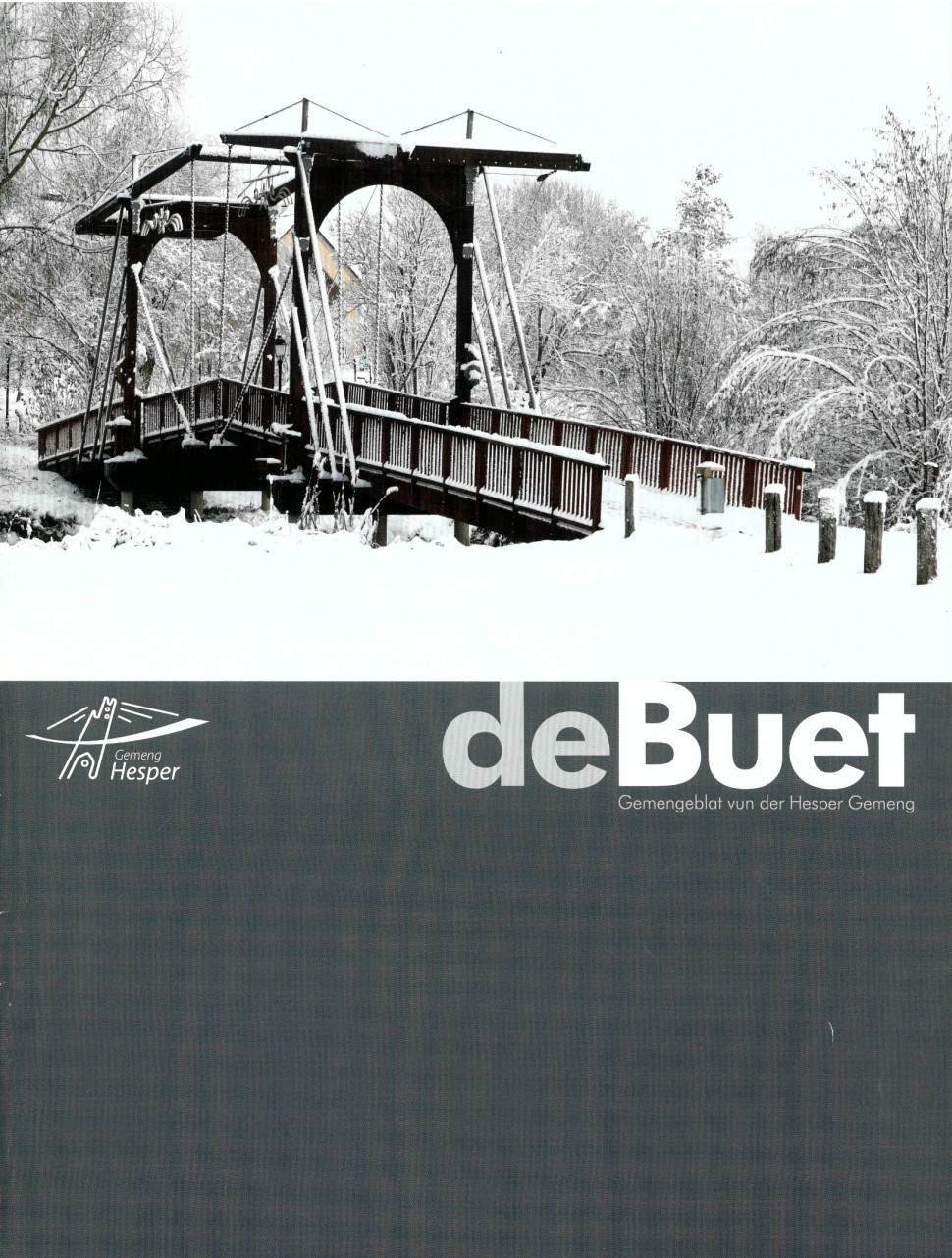 014 - 2011 - deBuet la nouvelle maison relais